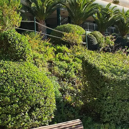 Apartamento En Hills Apartamento *